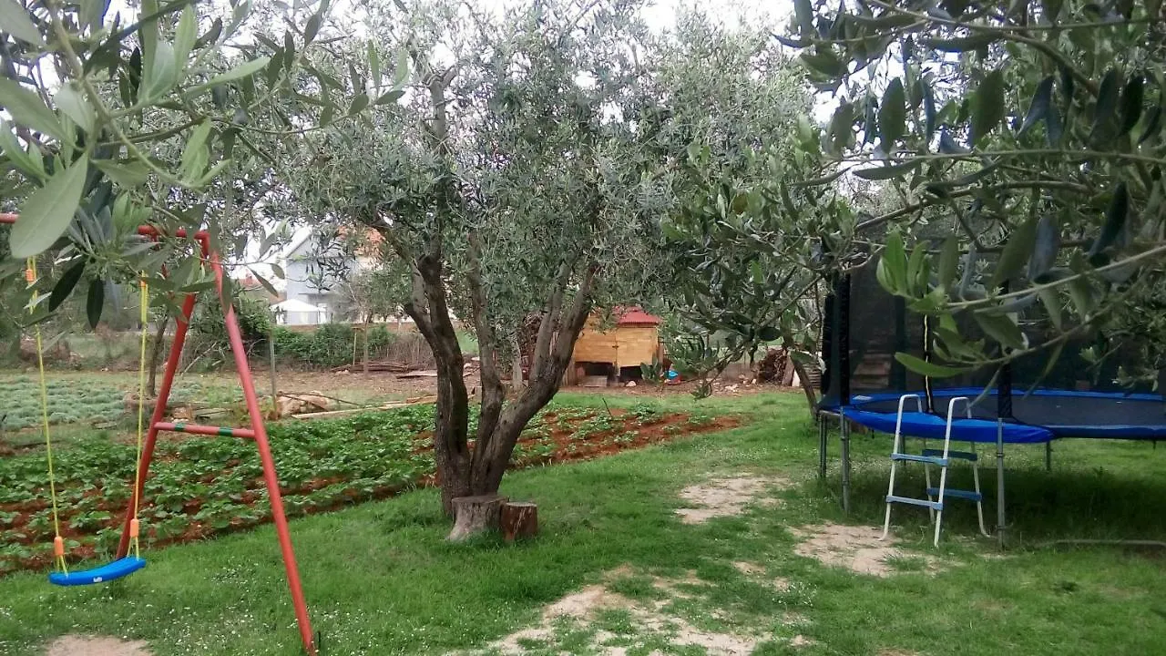 Apartmani Dana Sukošan Apartment